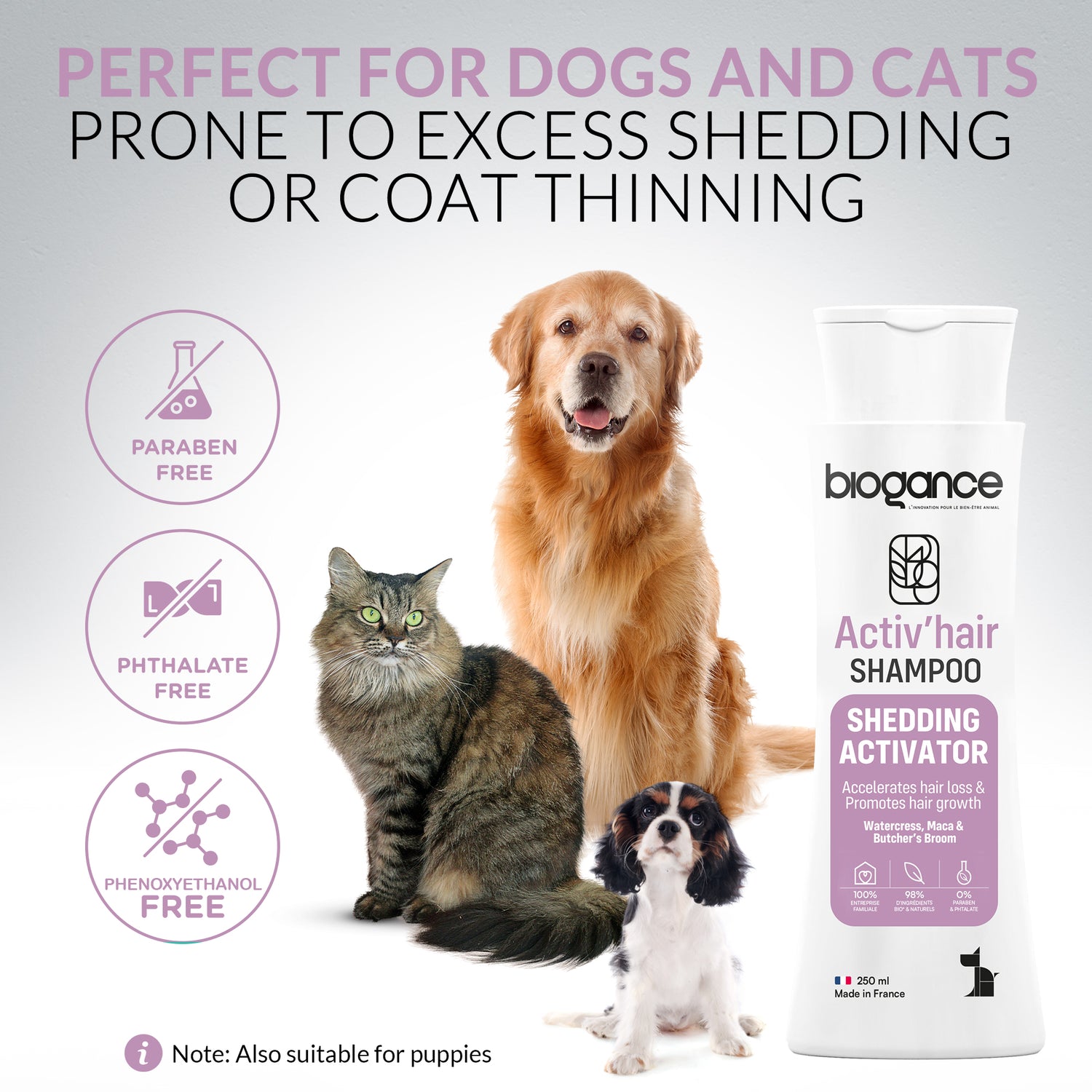 Shedding Activator Shampoo