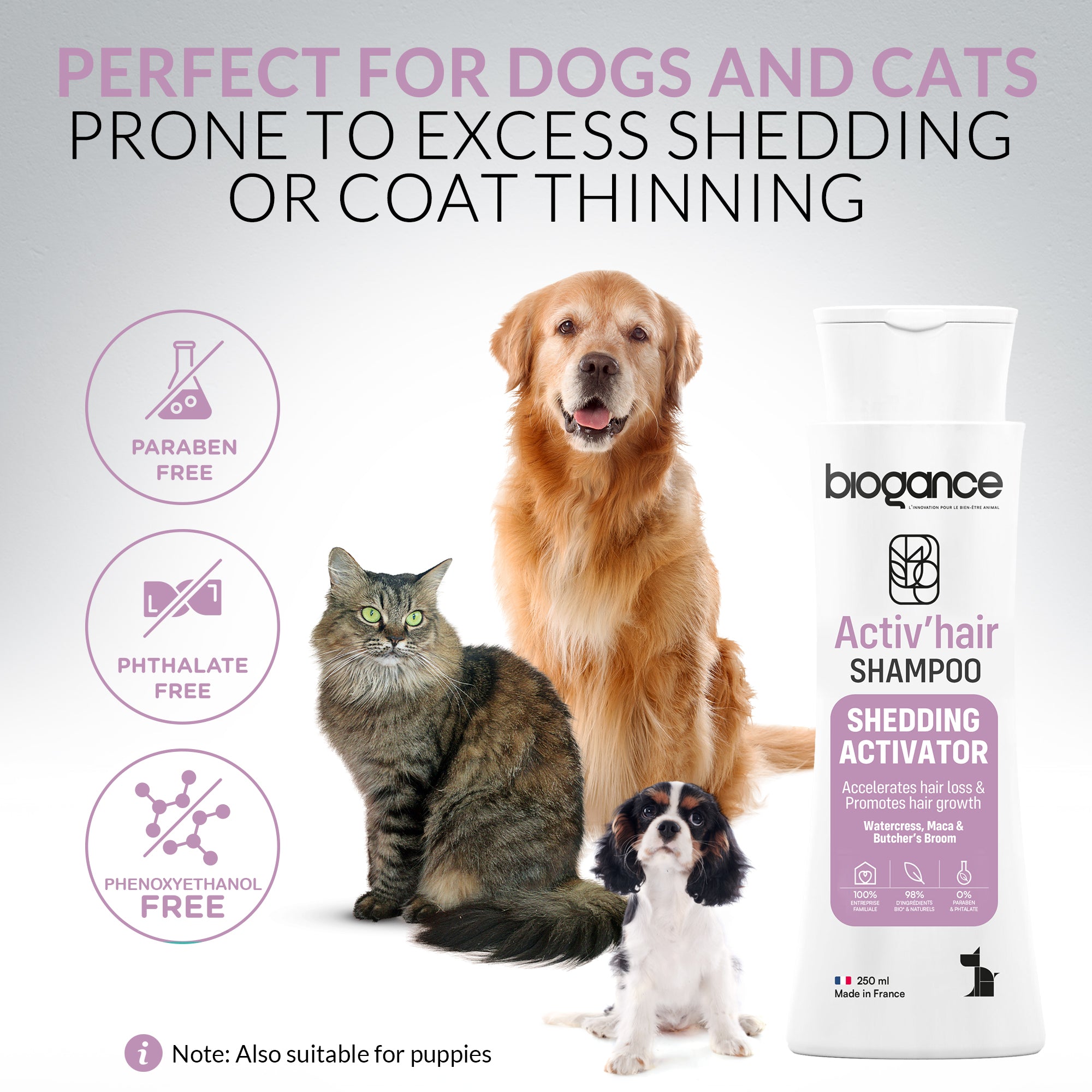 Shedding Activator Shampoo
