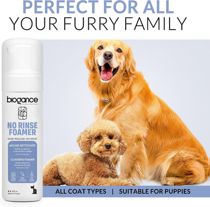 No Rinse Dog Foamer