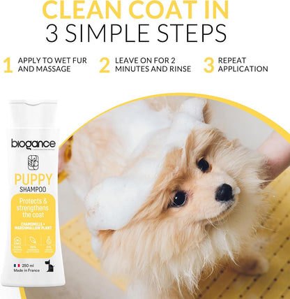 Shampooing Chiot